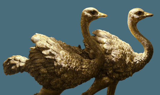 Golden Ostrich