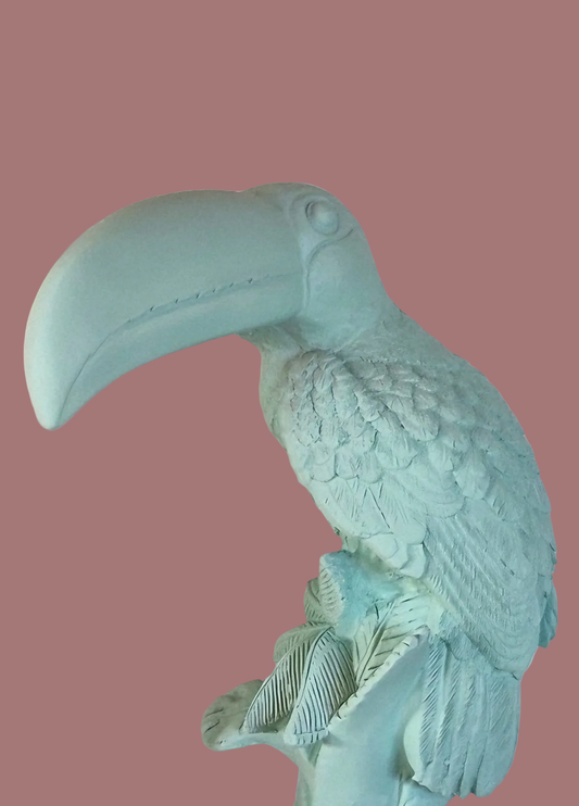Toucan Mint