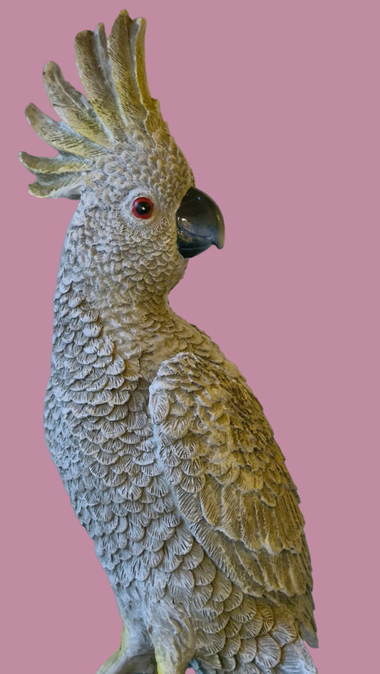 Misty Grey Cockatoo