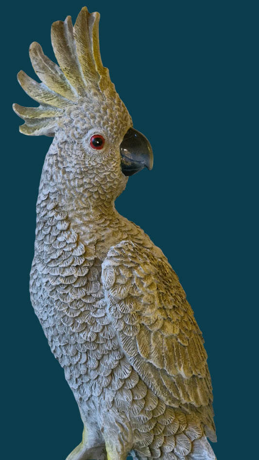 Misty Grey Cockatoo