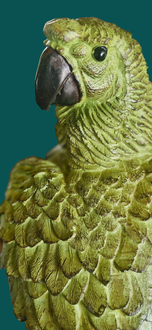 Green Parrot