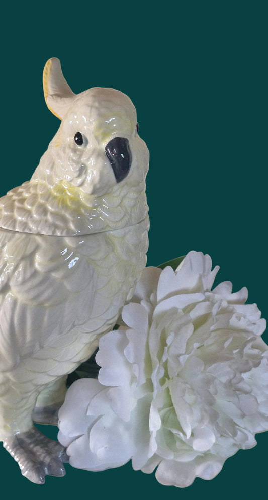 White Cockatoo