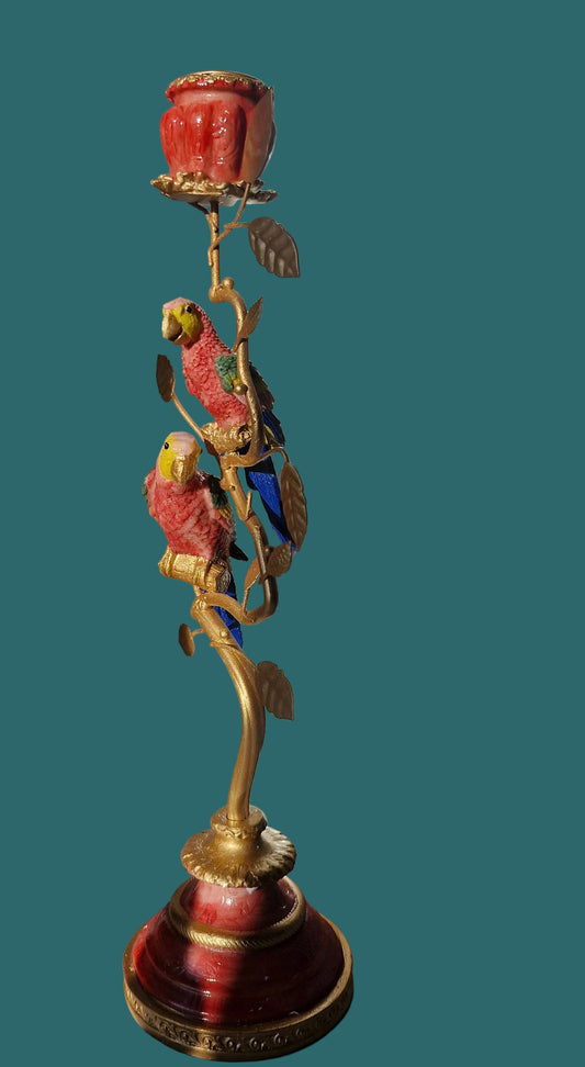 Parrots Nest