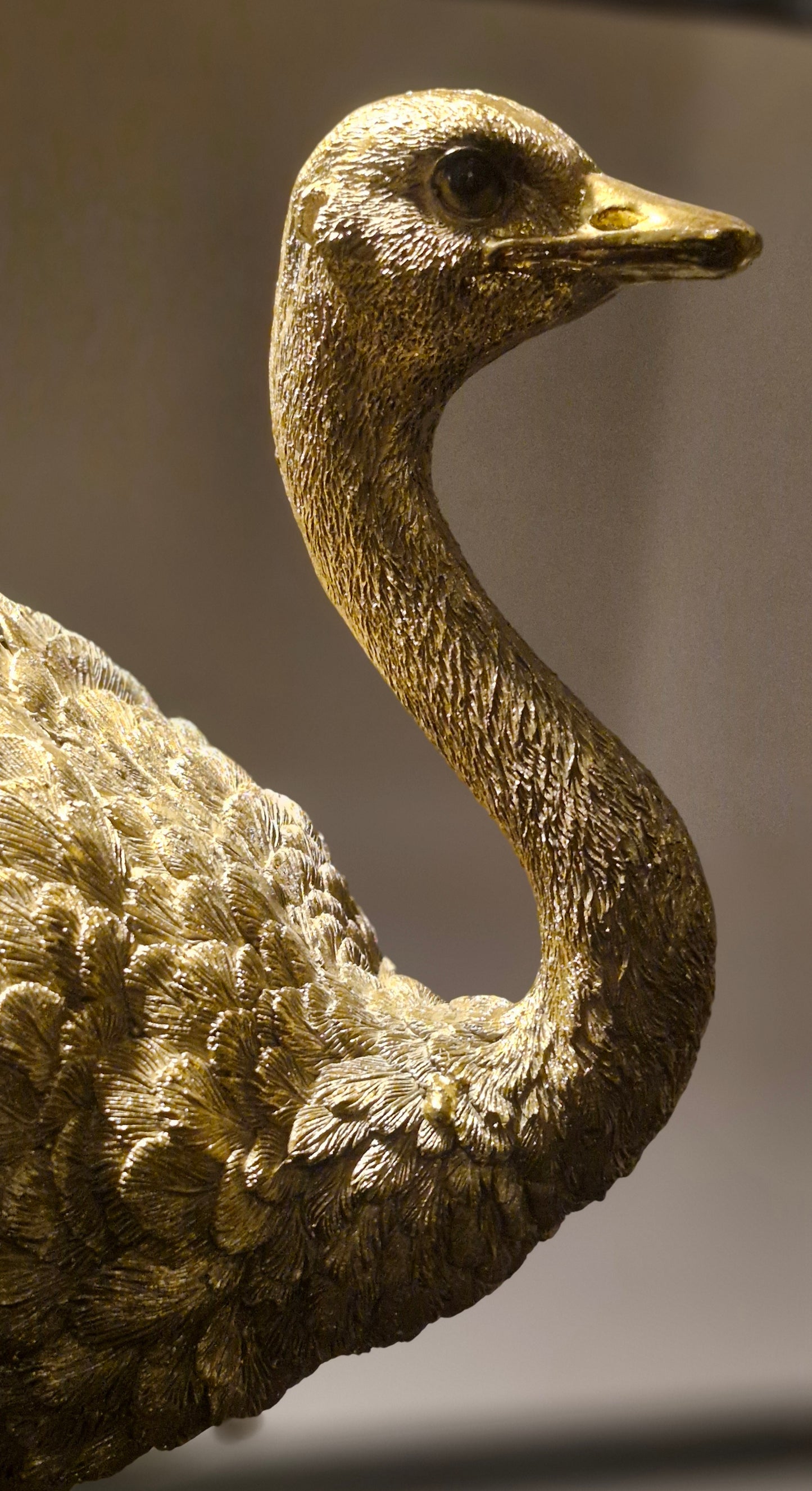 Golden Ostrich