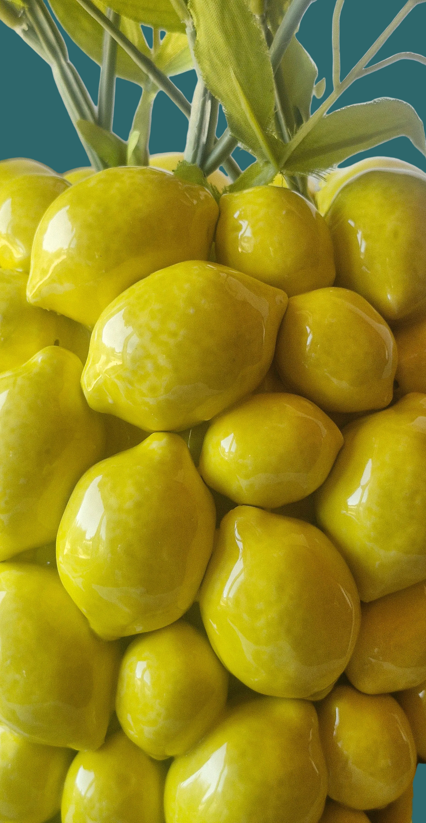 Lemon Joy