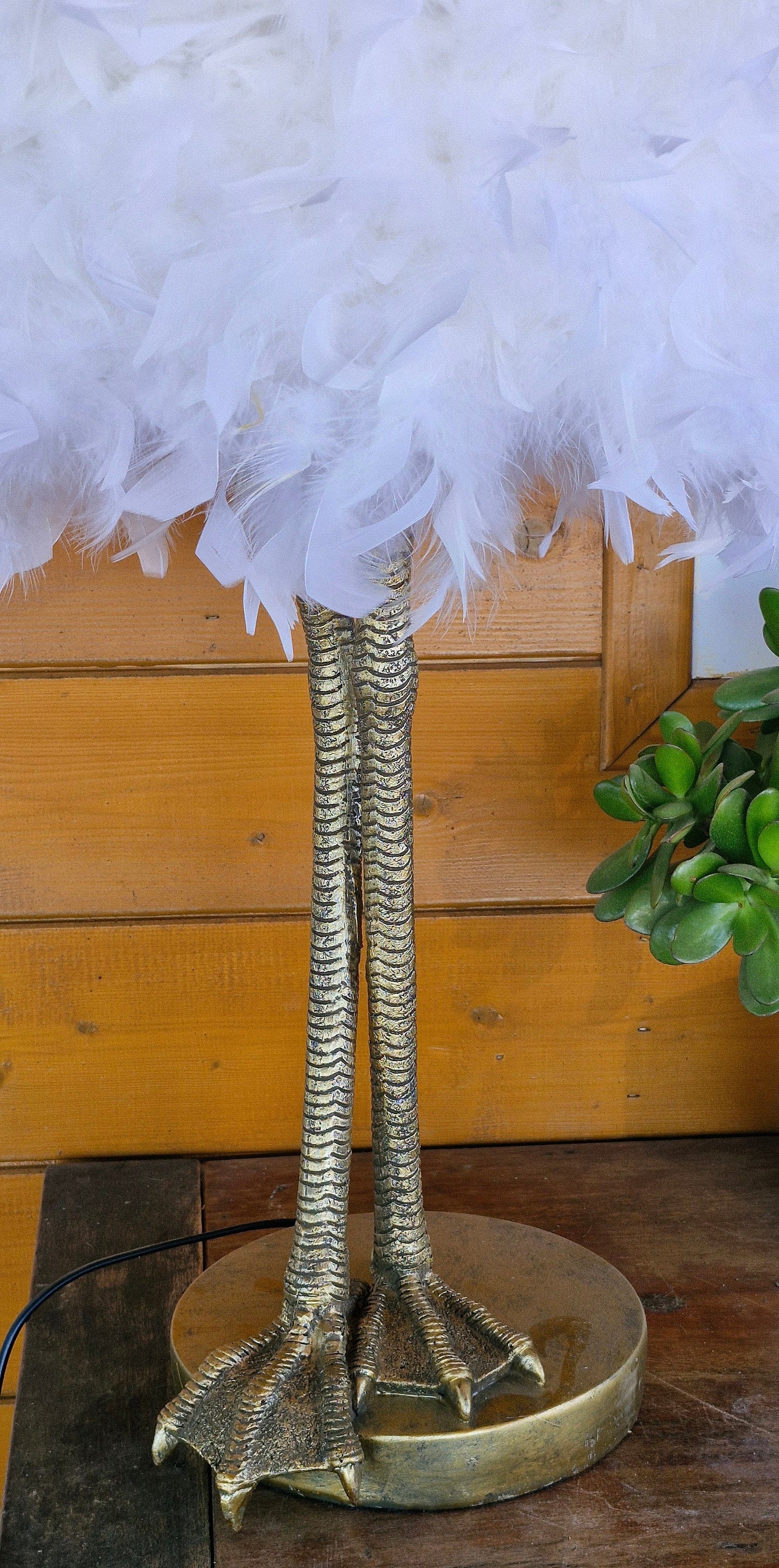 Ivory Plume