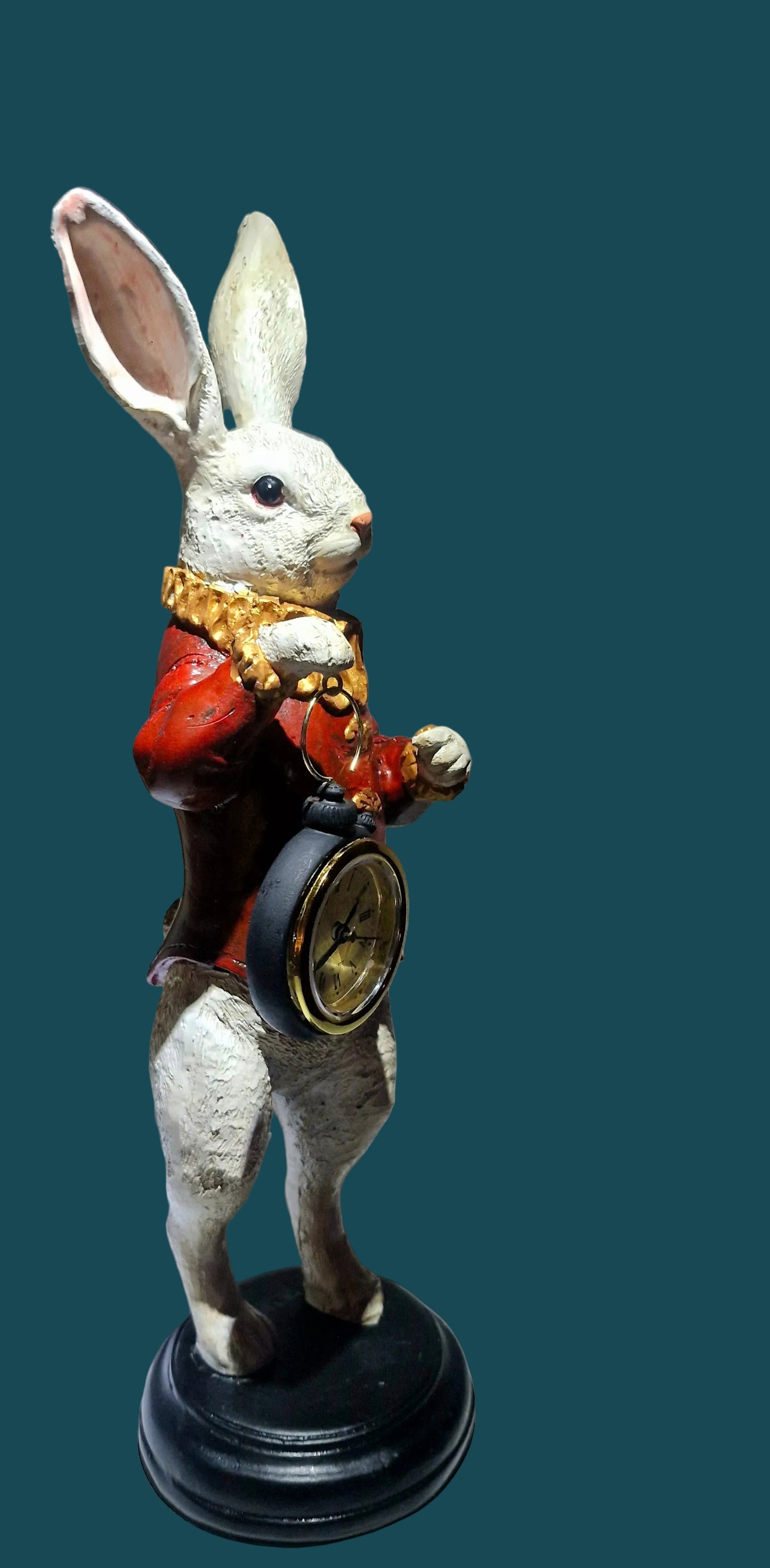 Conejo Blanco