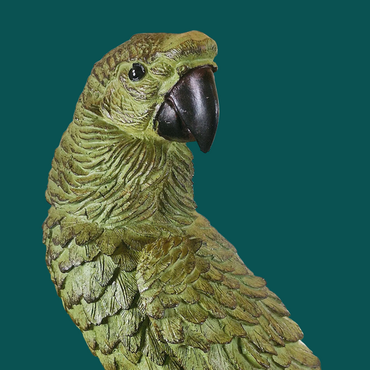 Green Parrot