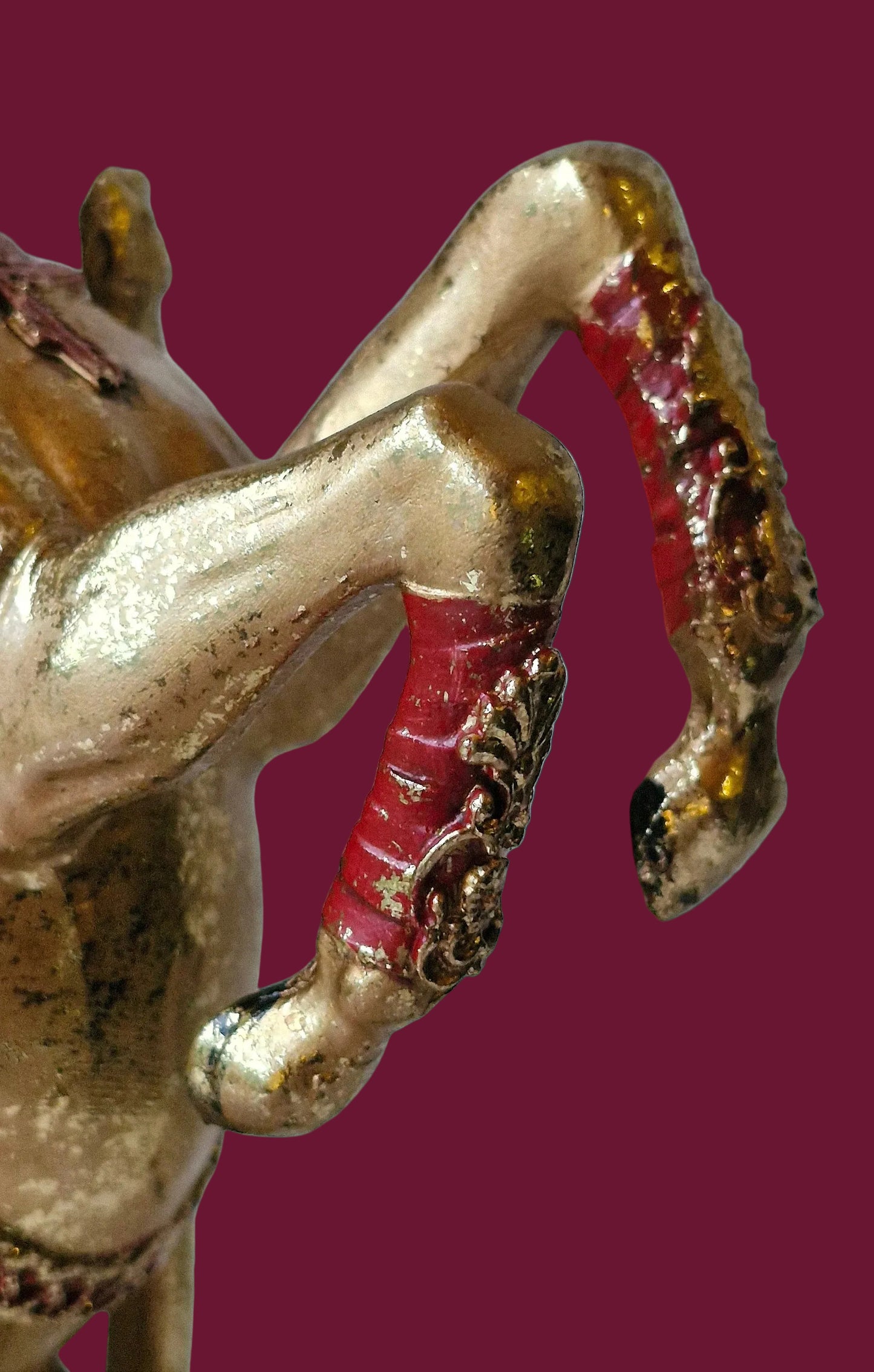 The Golden Lusitano