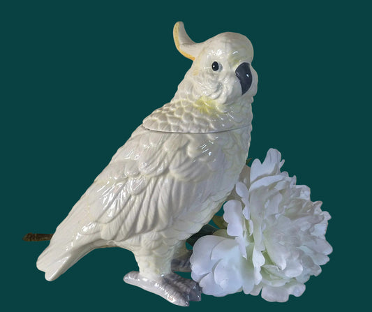 White Cockatoo