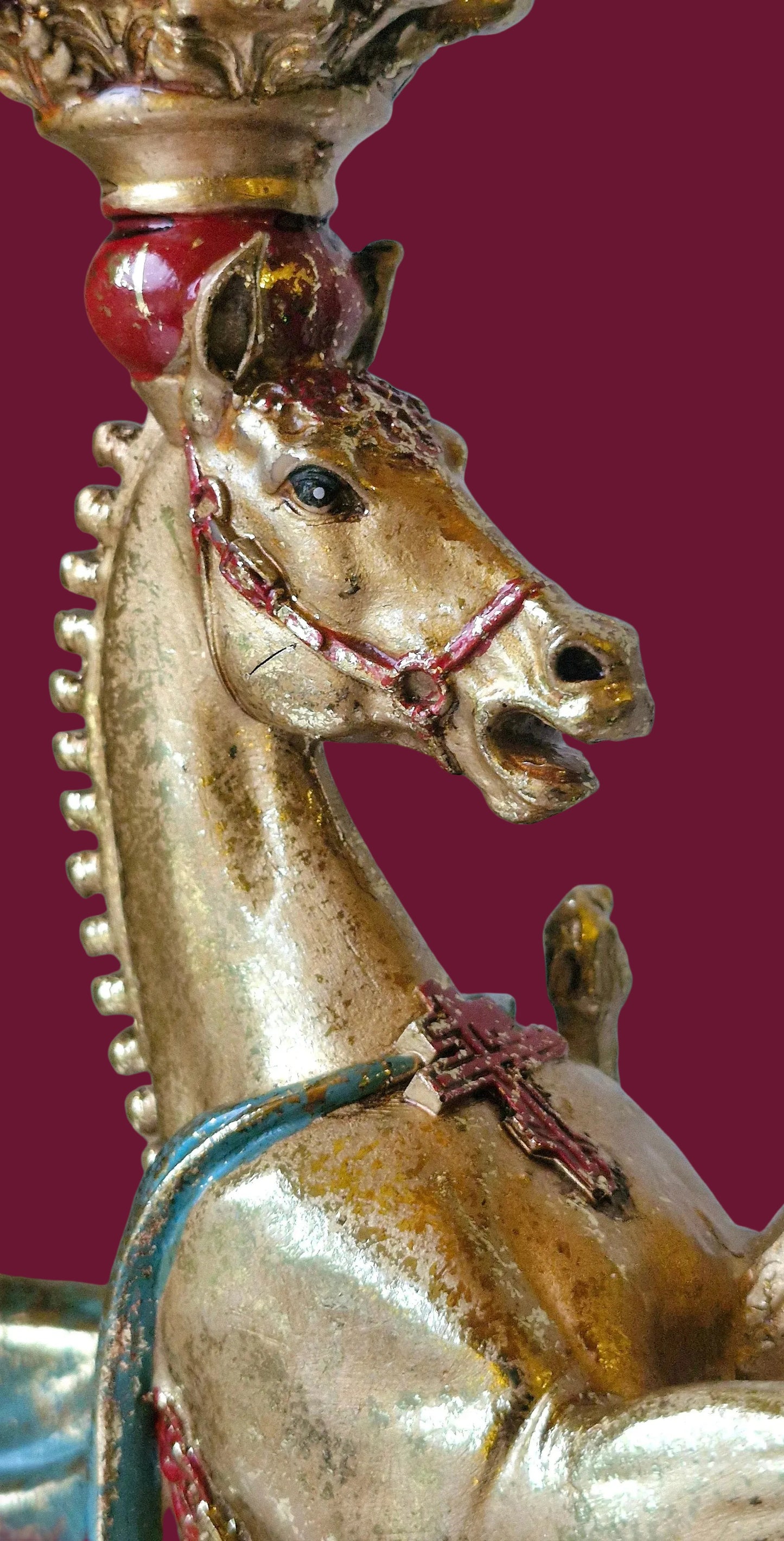 The Golden Lusitano
