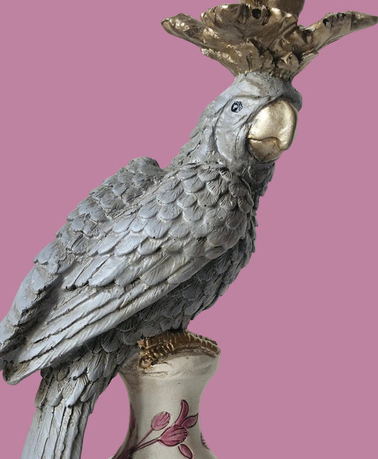 Skylight Parrot