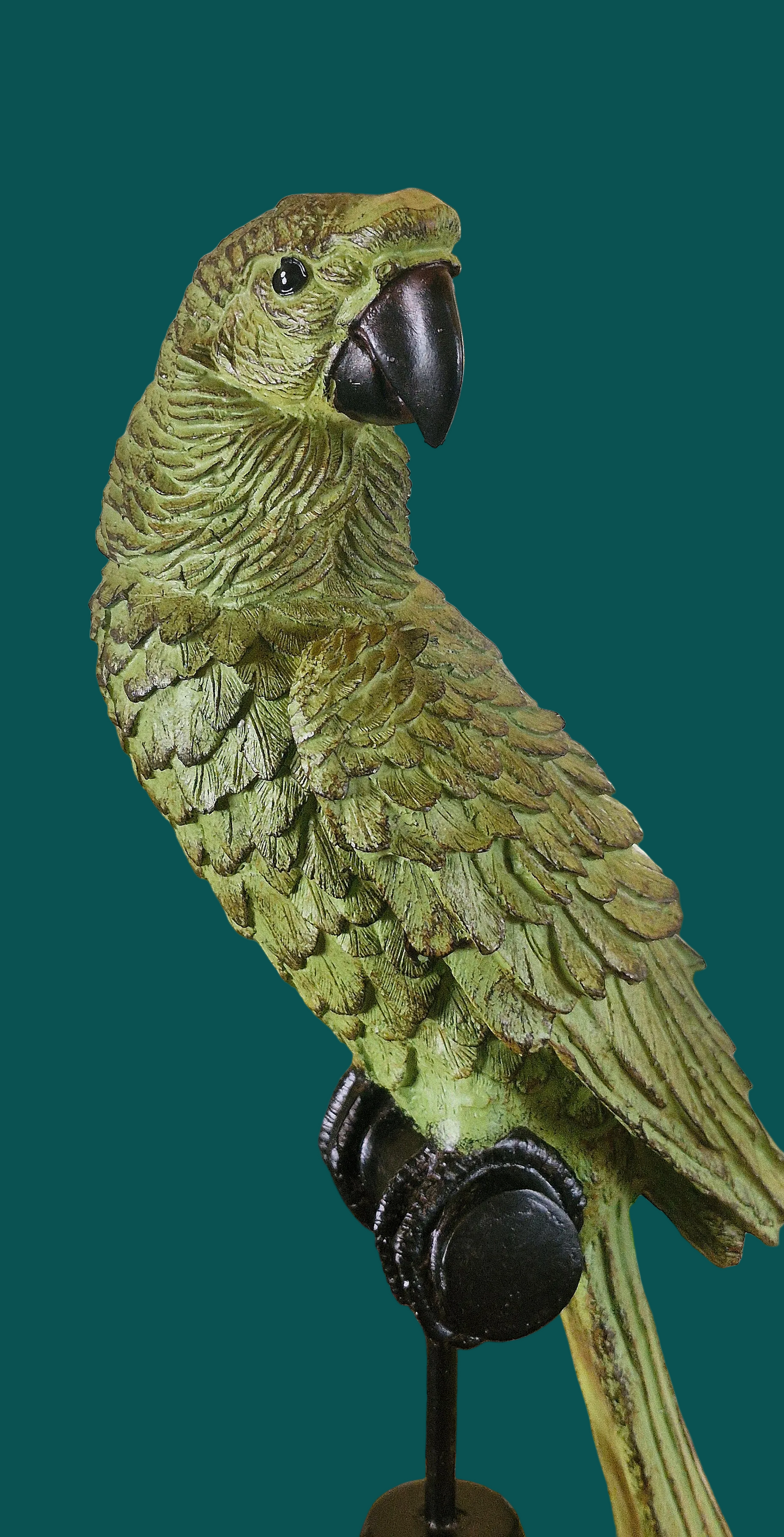Green Parrot