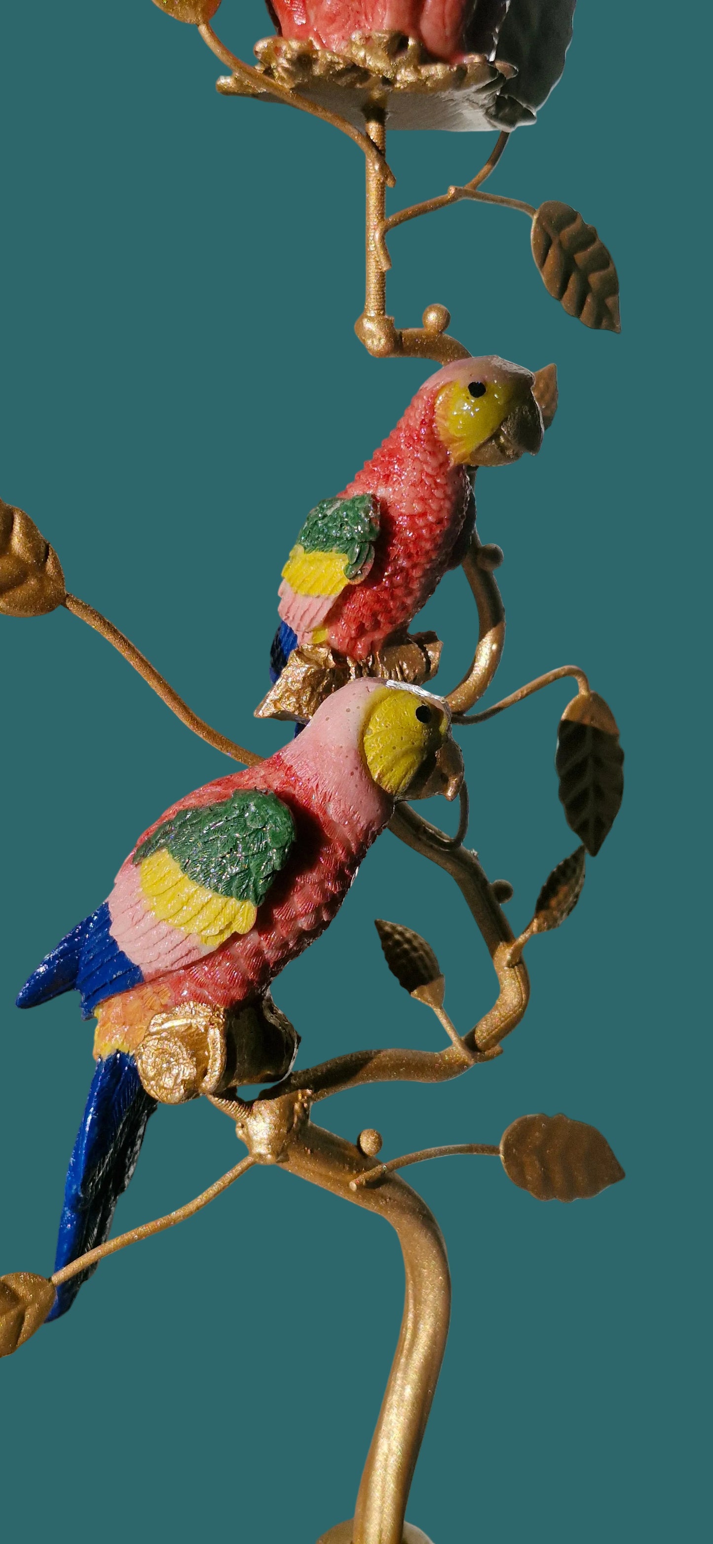 Loros Naranja y Azul