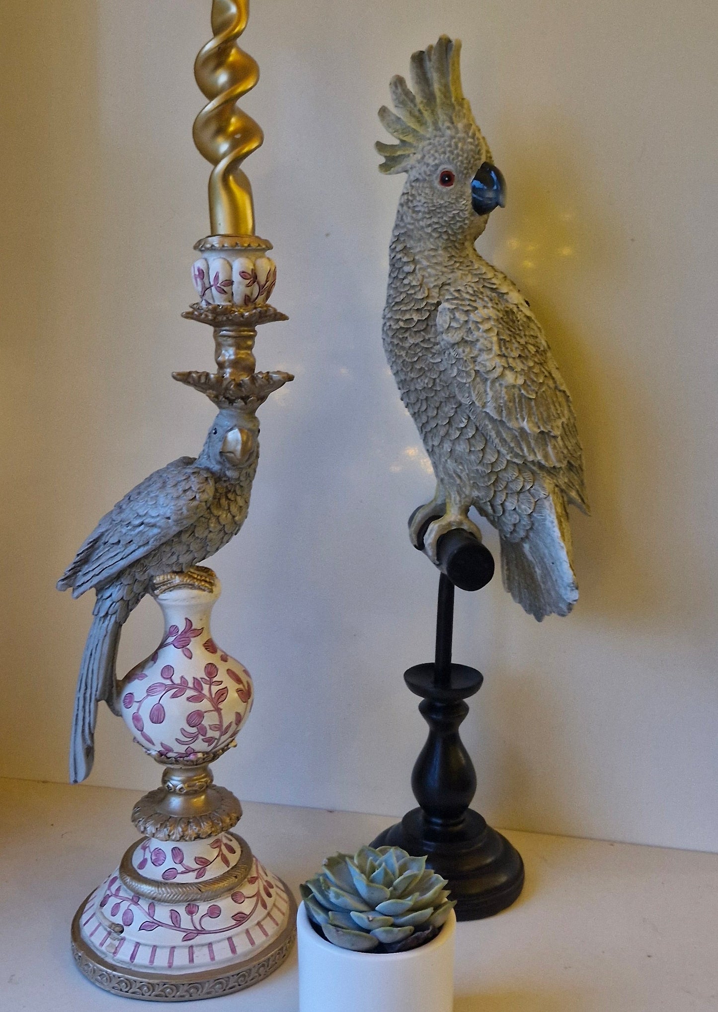 Misty Grey Cockatoo
