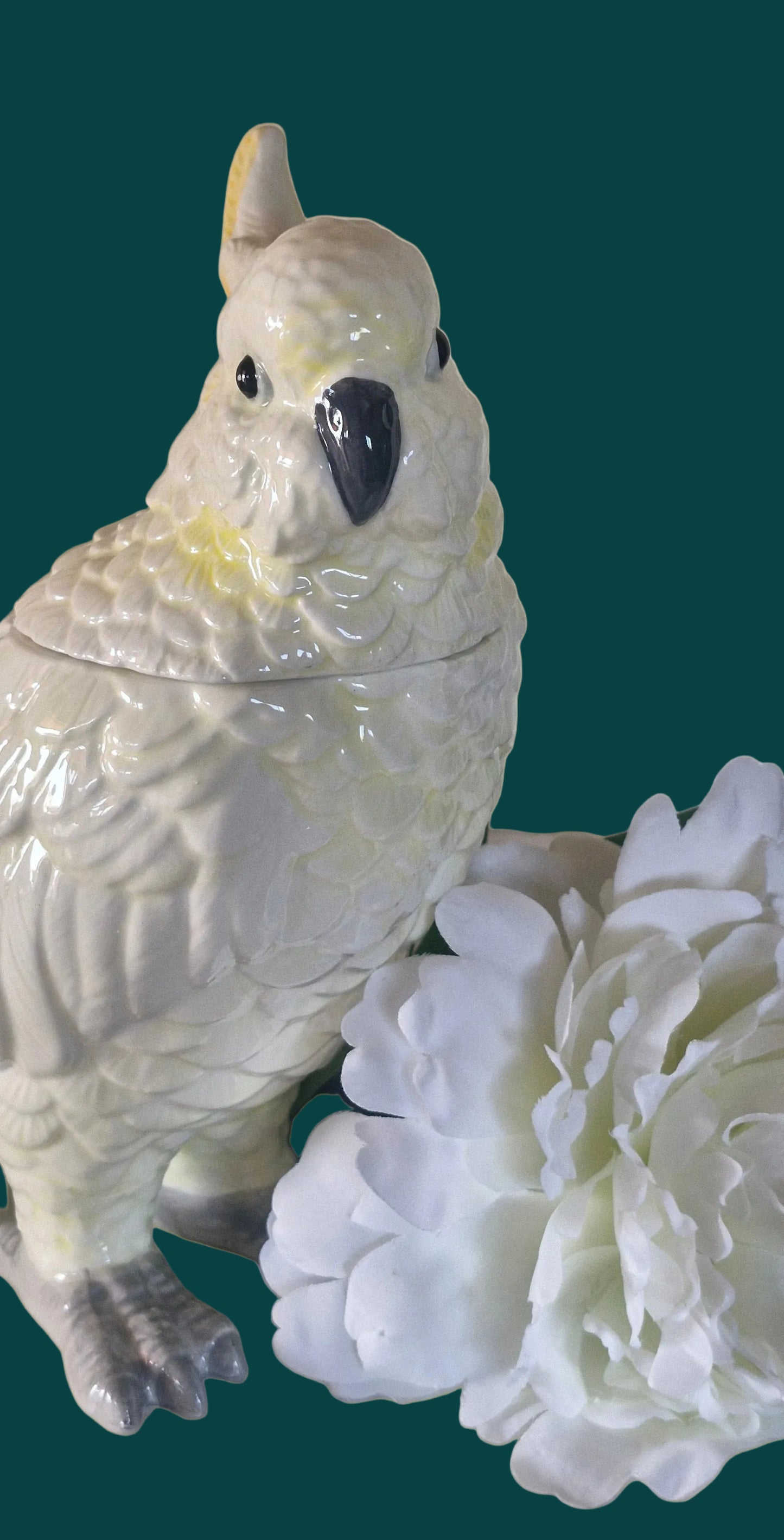 White Cockatoo