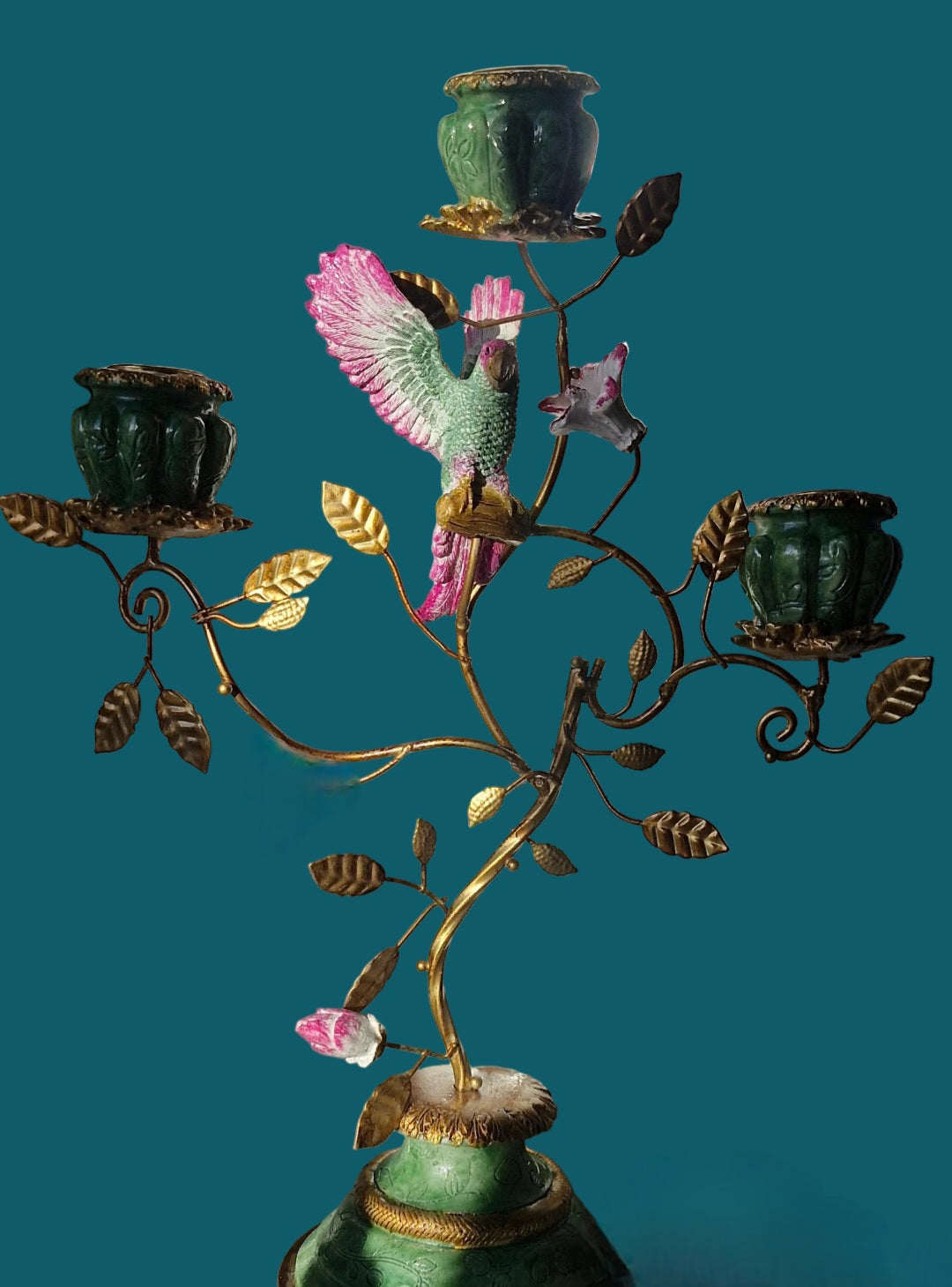 Paradise Parrot