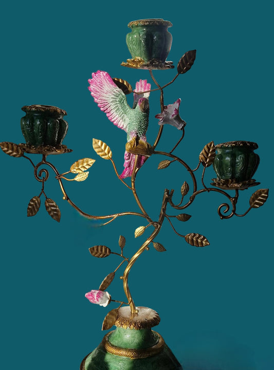 Paradise Parrot