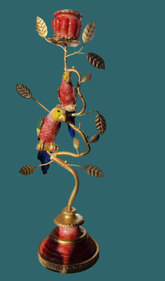 Parrots Nest