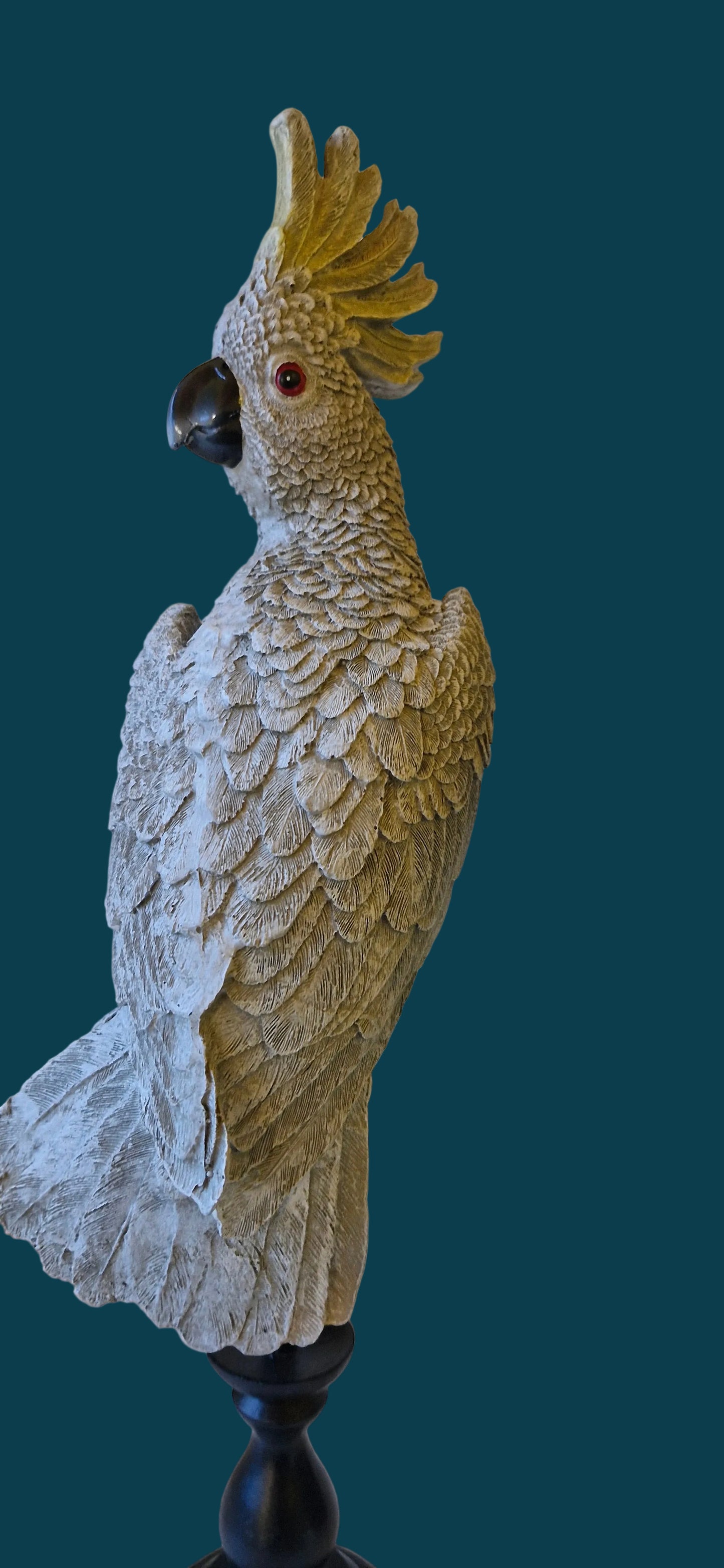 Misty Grey Cockatoo
