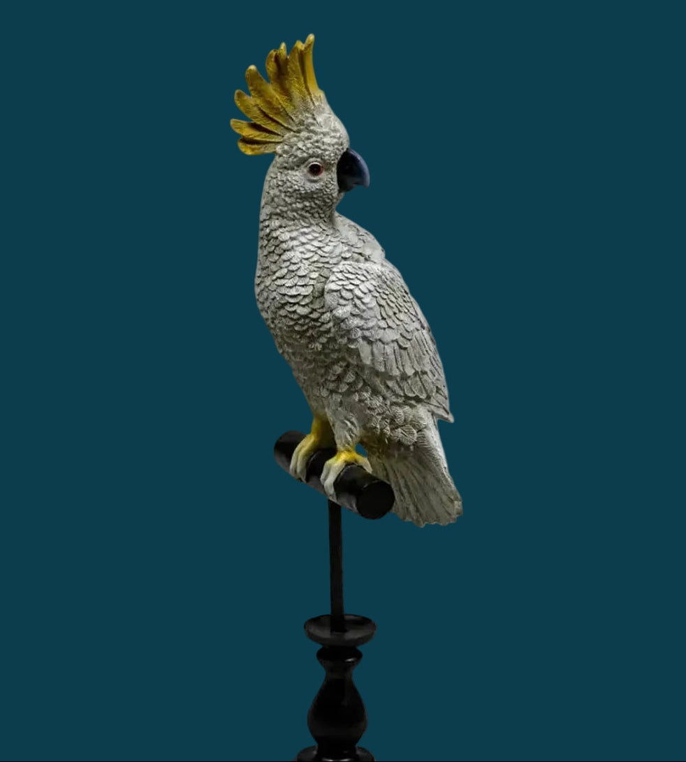 Misty Grey Cockatoo