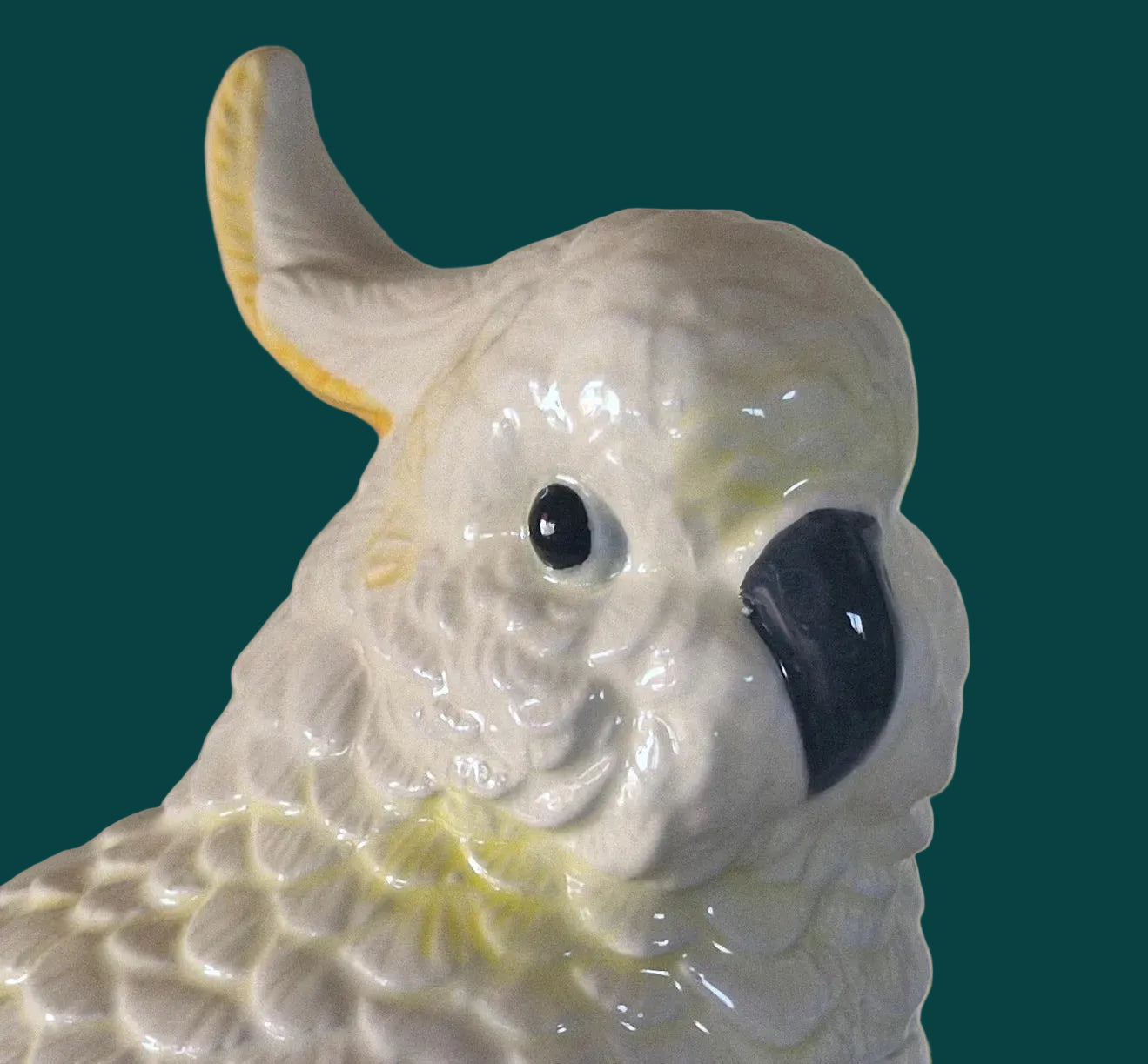 White Cockatoo