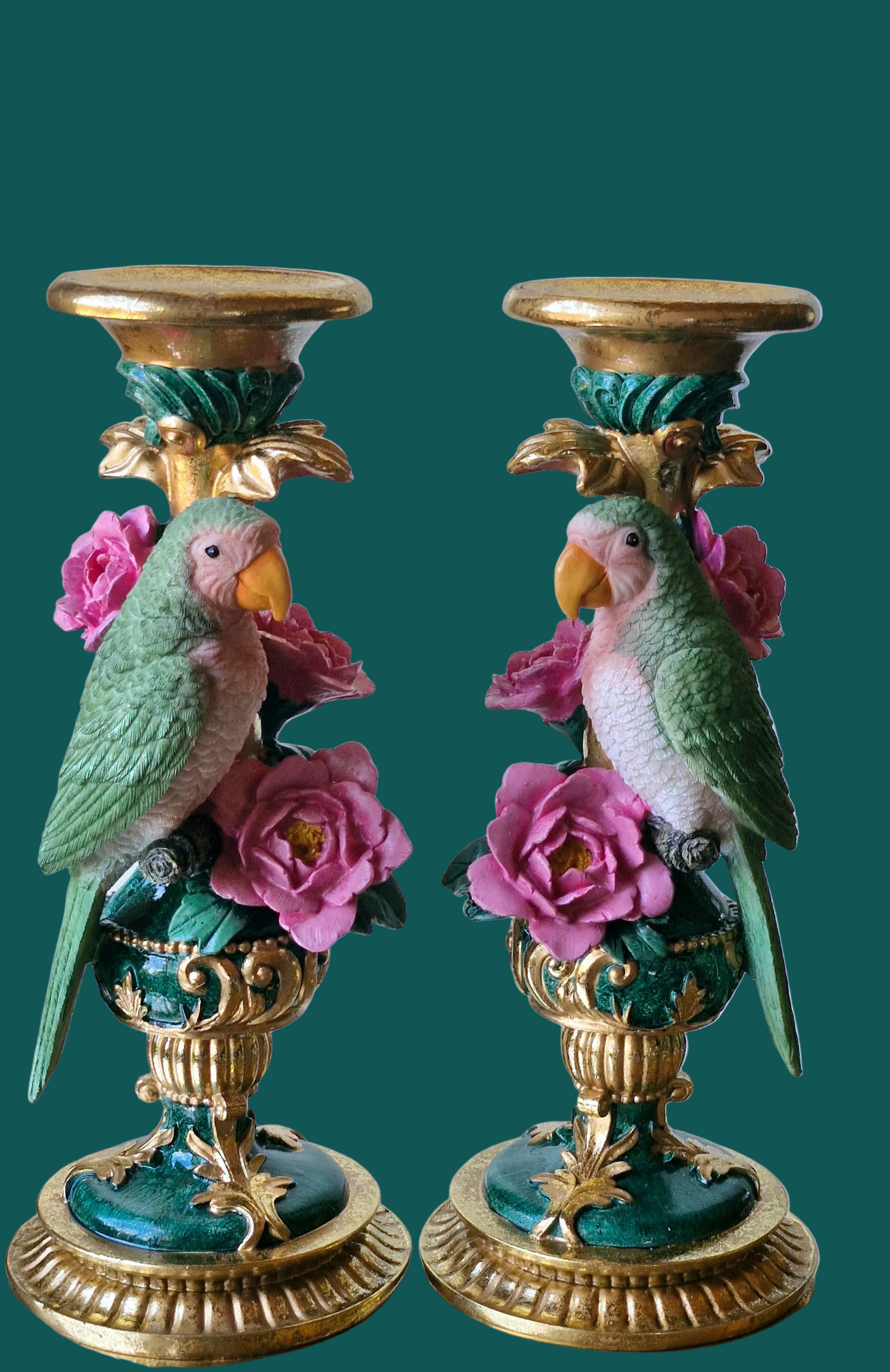 Parrot Bloom Duo