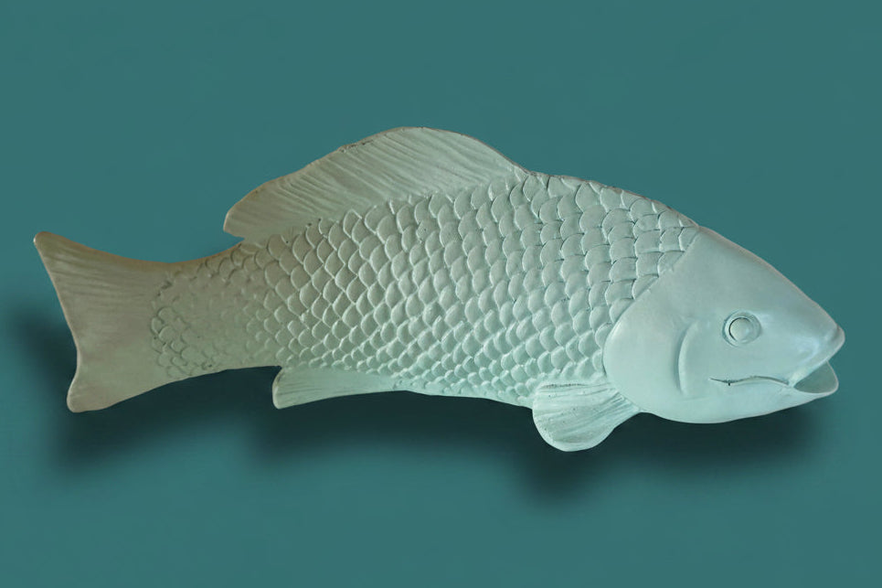 Carpa Koi Mint