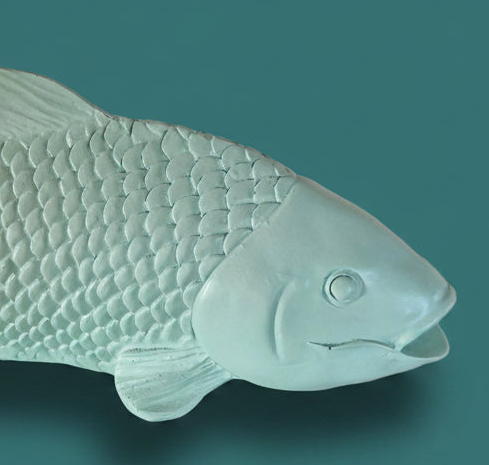 Carpa Koi Mint