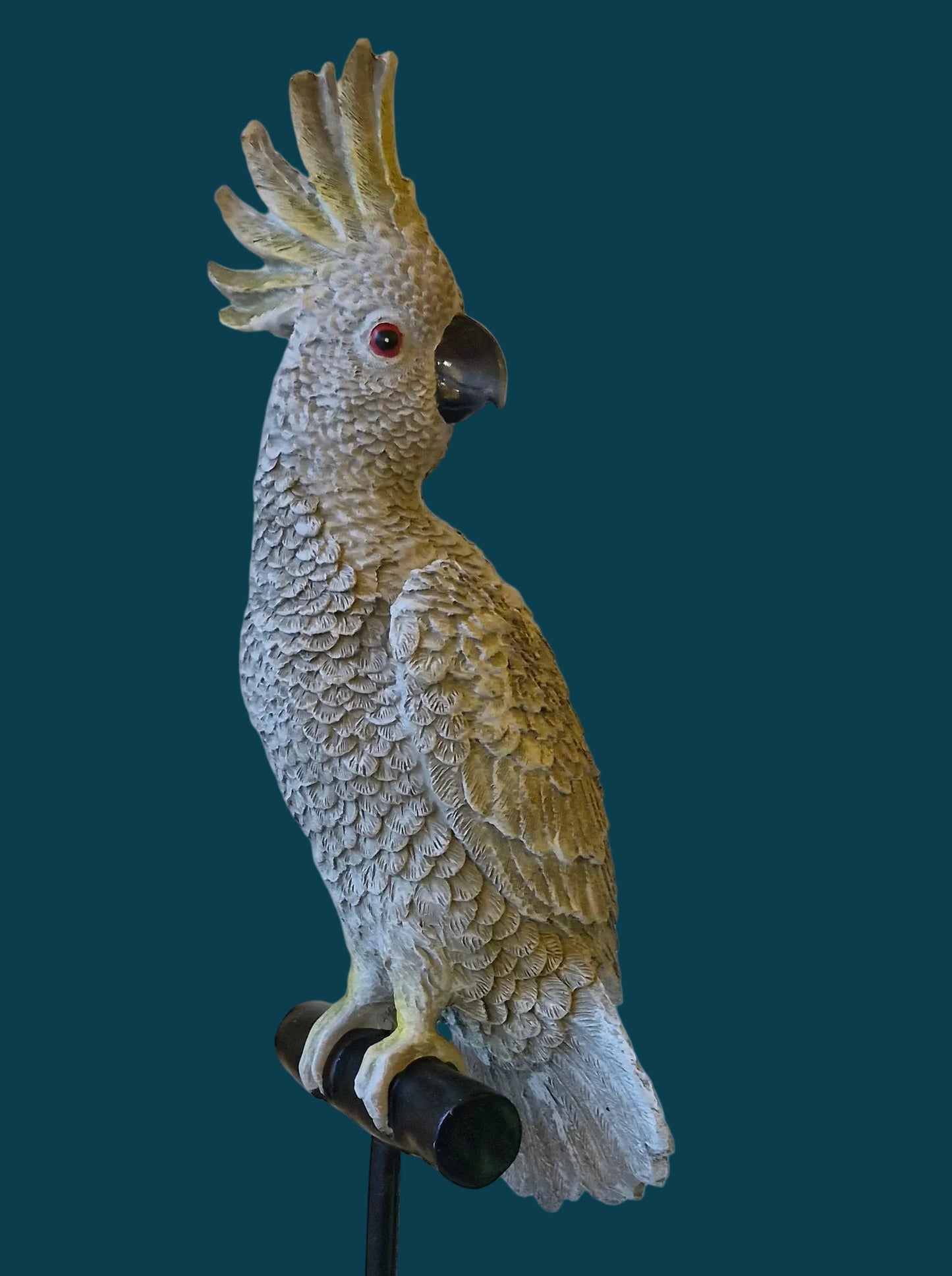Misty Grey Cockatoo