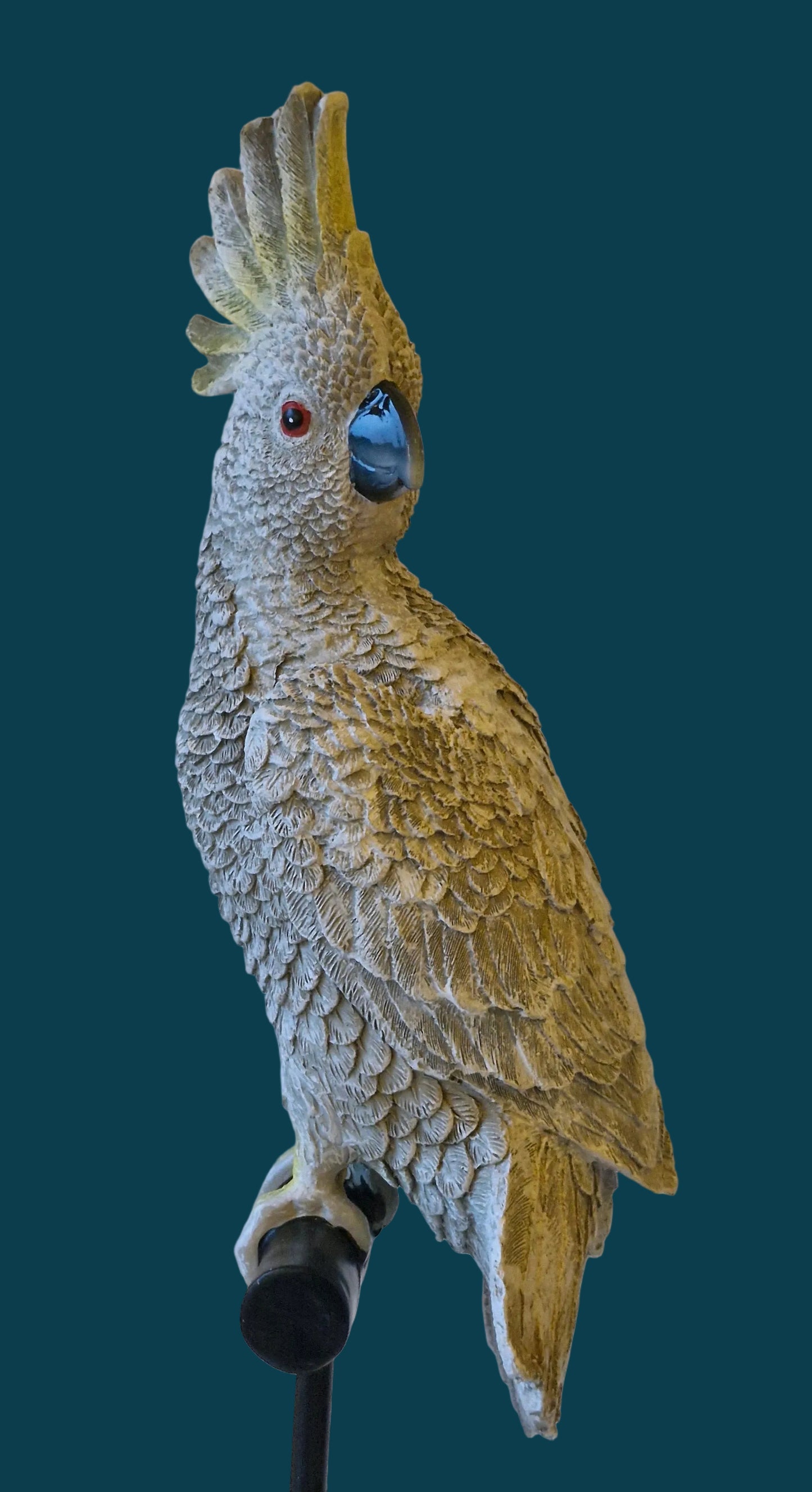Misty Grey Cockatoo